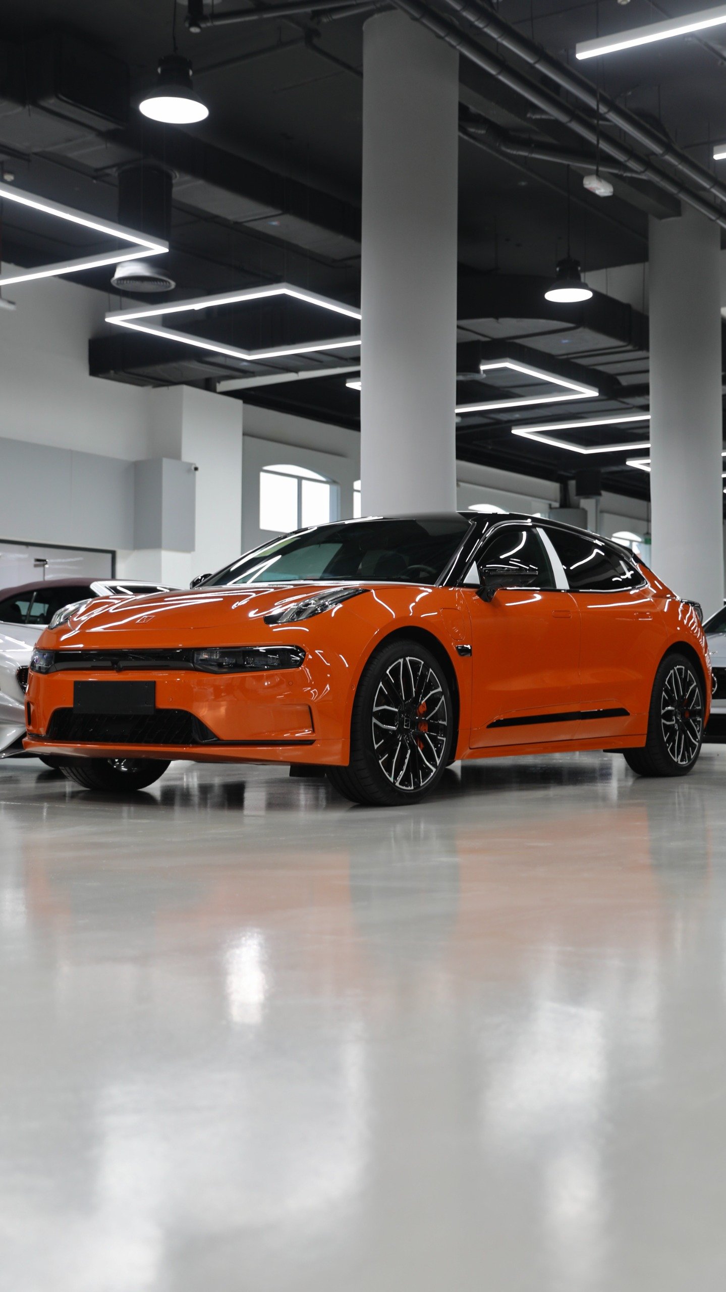 Exotic Car